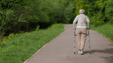 senior woman walking with walker in park