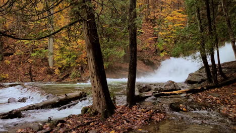 peaceful nature scene with waterfall in river, fall foliage in forest