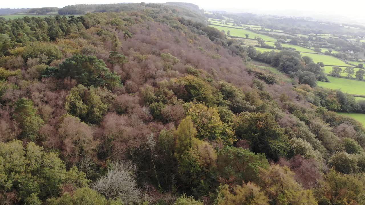 toma aérea hacia atrás de woodland en east hill devon, inglaterra
