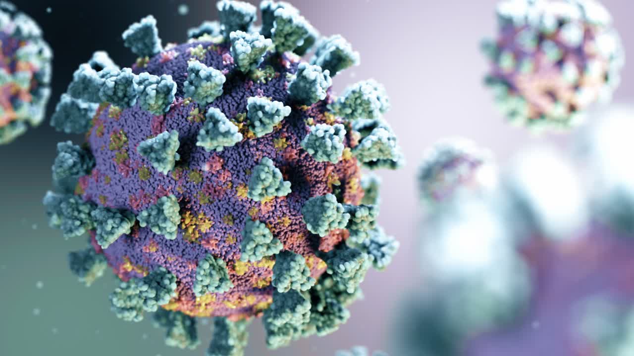 estructura del virus del coronavirus