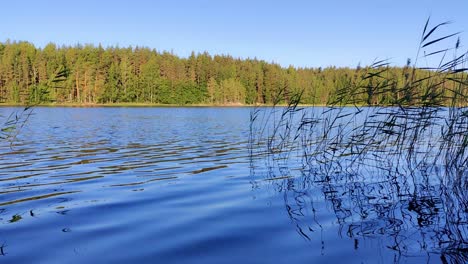 Relaxing-lake-scenery