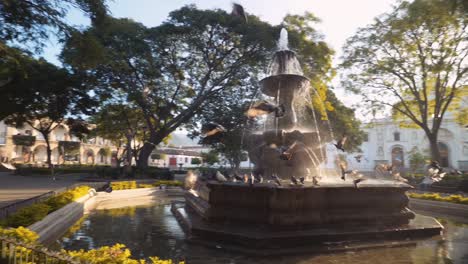 Die-Kamera-Verfolgt-Die-Taube-Als-Die-Fliege-Am-Meerjungfrauenbrunnen-In-Antigua,-Guatemala,-In-Zeitlupe