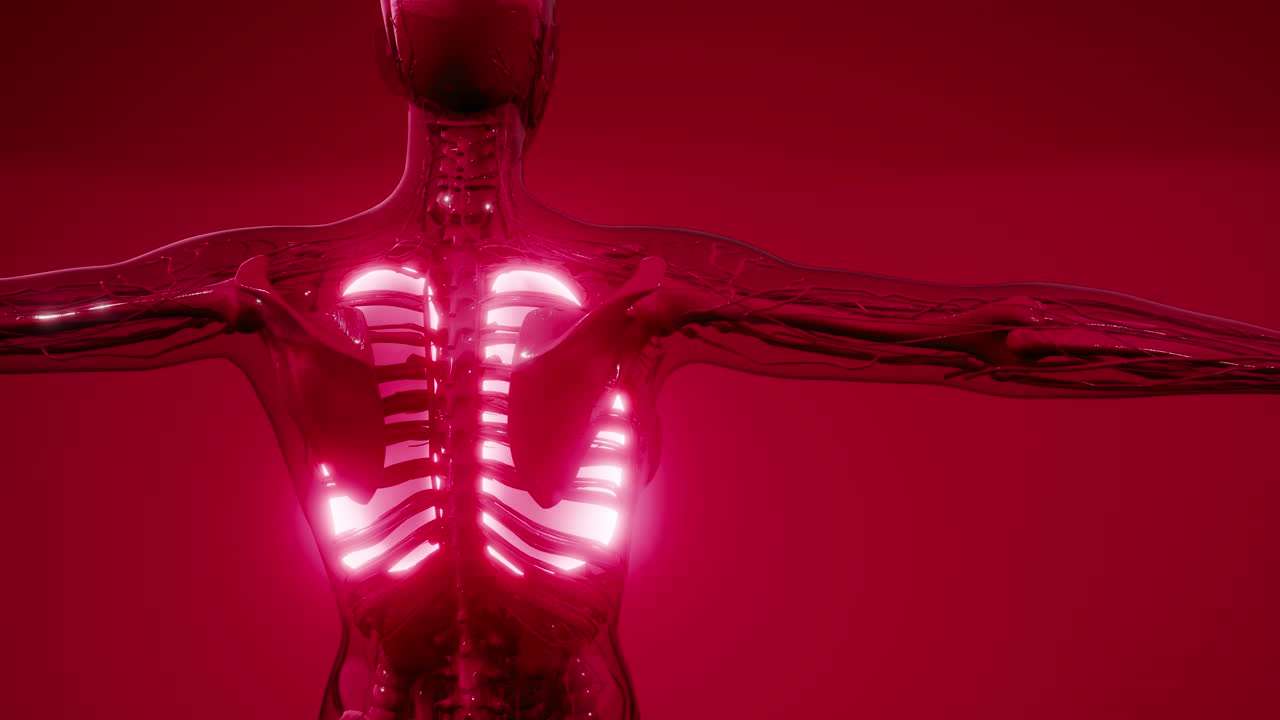 examen radiológico de los pulmones humanos