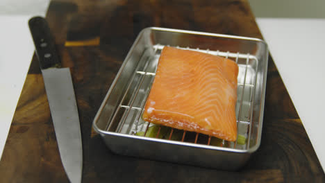 salmón, pescado, marisco congelado, envasado en plástico.