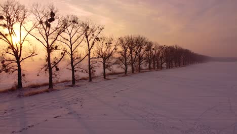 flying backward over snow-covered field and drawing away from seemingly infinite line of trees backlit by stunning rising sun