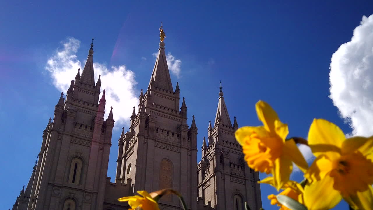 A low angle panning time-lapse with flowers in the foreground and clouds moving behind the Salt Lake Temple for the church of Jesus Christ of Latter-day Saints or Mormons