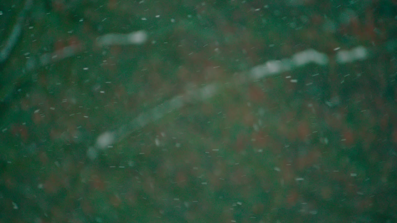 fuertes nevadas en el paisaje forestal