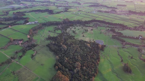 Paisaje-Rural-Con-Campos-Verdes-Y-Exuberante-Vegetación-En-Waikato,-Isla-Norte,-Nueva-Zelanda---Disparo-Aéreo-De-Drones