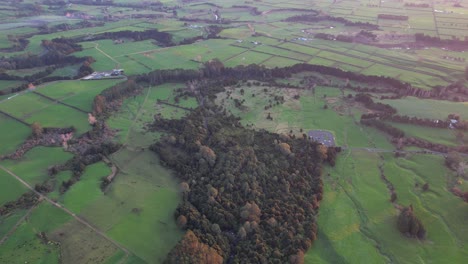 paisaje rural con campos verdes y vegetación exuberante en waikato, isla del norte, nueva zelanda - fotografía aérea de un dron