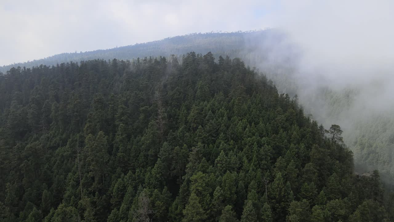 Movimento di gru in salita e inclinazione verso il basso in una giornata nebbiosa in mezzo alle montagne sopra una foresta con una splendida vista di pini.