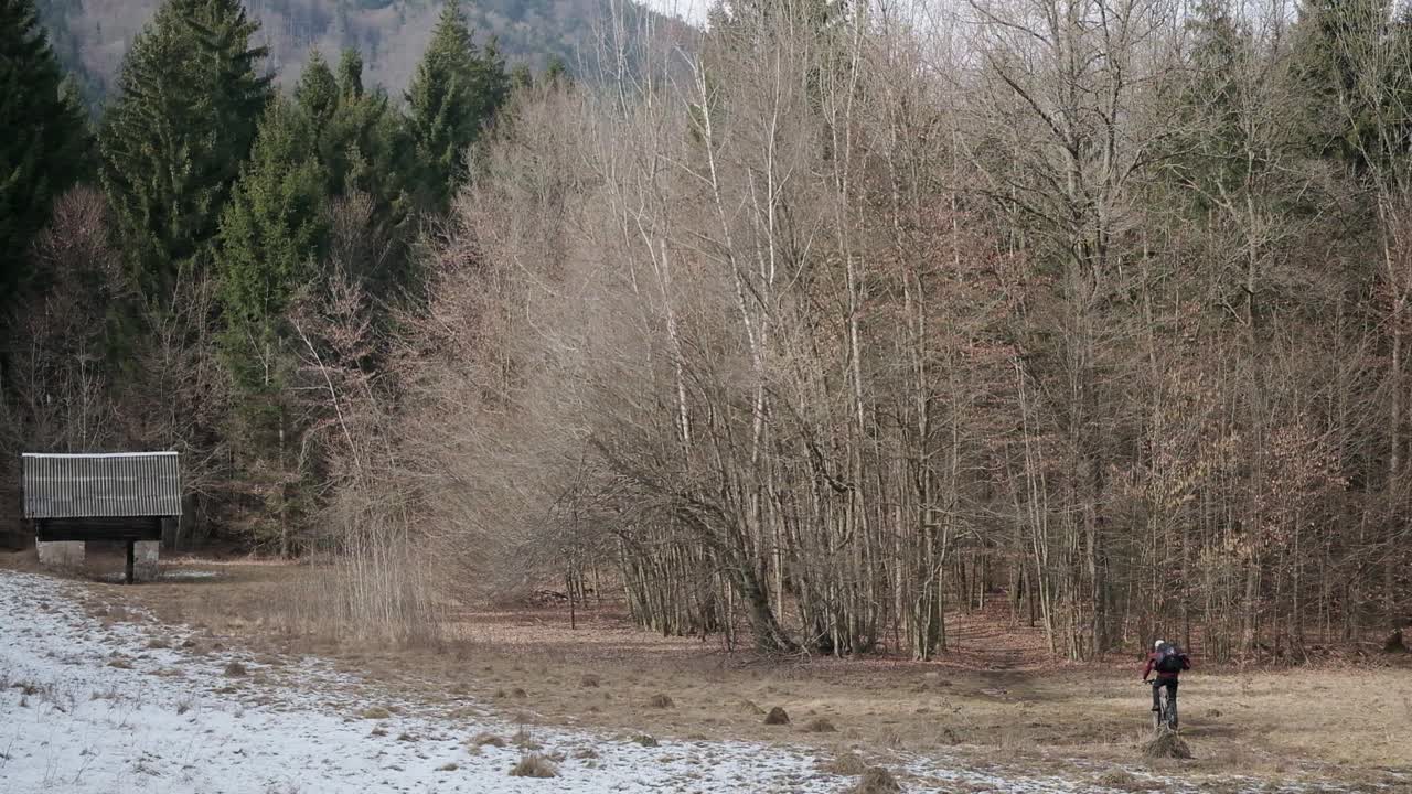 vista panorámica de un hombre que monta una bicicleta en el bosque durante el invierno, ya que todos los árboles son hojas desnudas