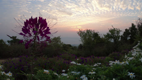 sunrise at huai nam dang national park in thailand