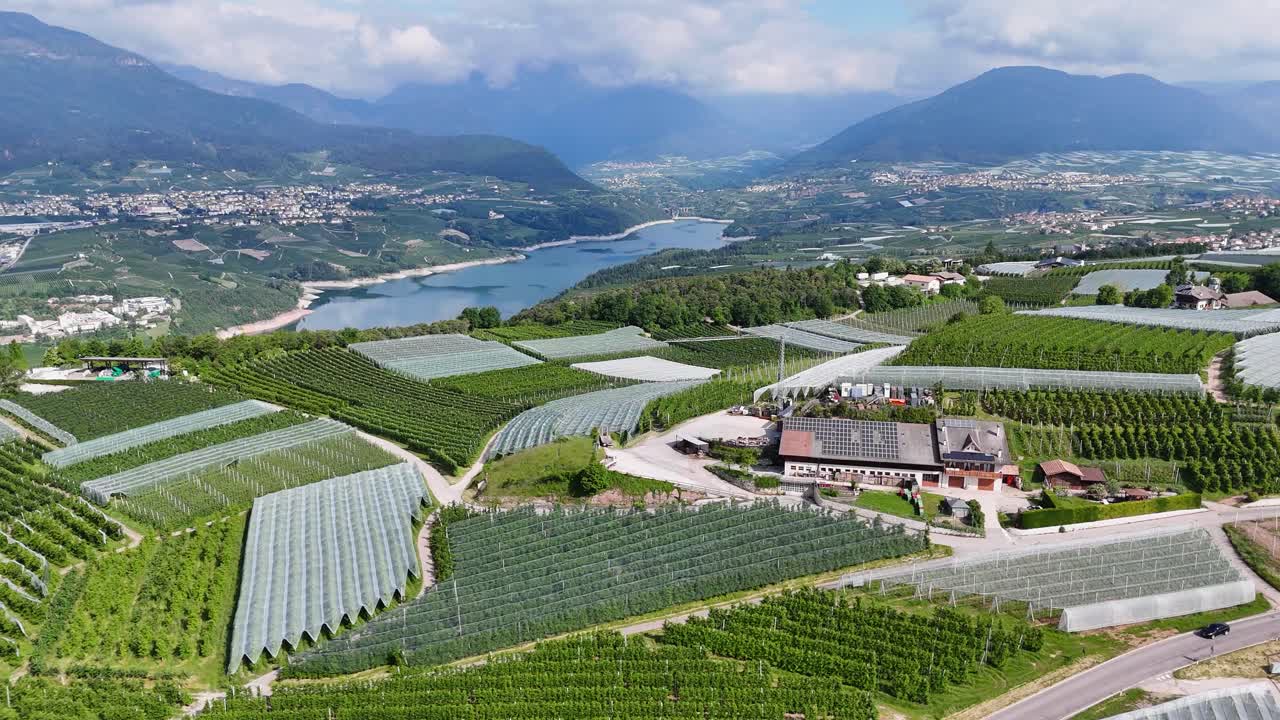 Drone video captures apple tree nursery in Trentino, with greenhouses and Lake Santa Giustina in the background under a partly cloudy sky.
