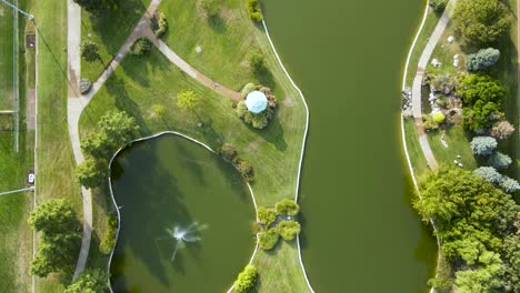 water ponds in beautiful green landscape - overhead aerial drone top down view