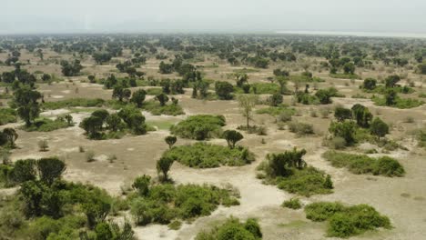 El-Parque-Nacional-Reina-Elizabeth-En-Uganda,-áfrica-Con-Vastas-Llanuras-Llenas-De-árboles-Y-Desierto