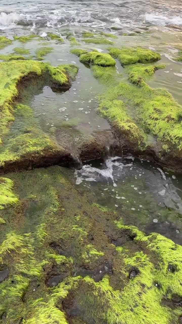 Ocean Water Flowing Over Green Mossy Rocks