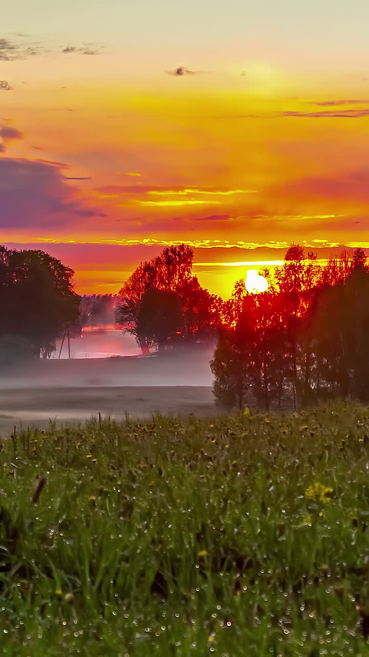 Sunset In Orange Sky Over Fields And Forest - Timelapse, Vertical Shot