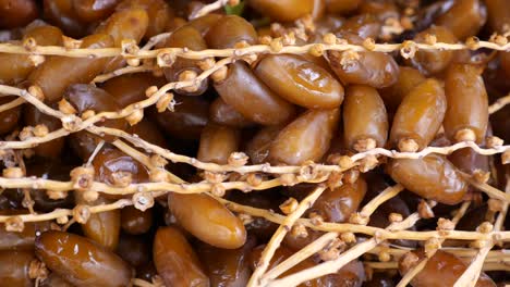 close-up of dates on a branch