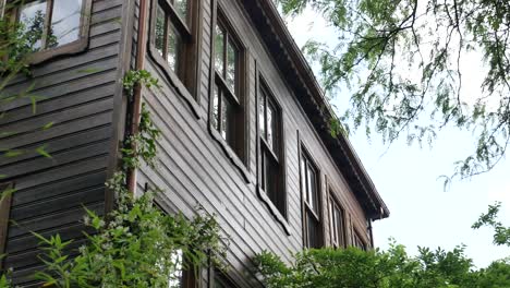 old wooden house with ivy and plants