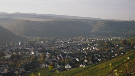 Vineyard-on-steep-hills-over-a-river-in-fall-after-sunrise