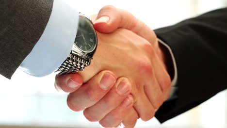 two businessmen shaking hands