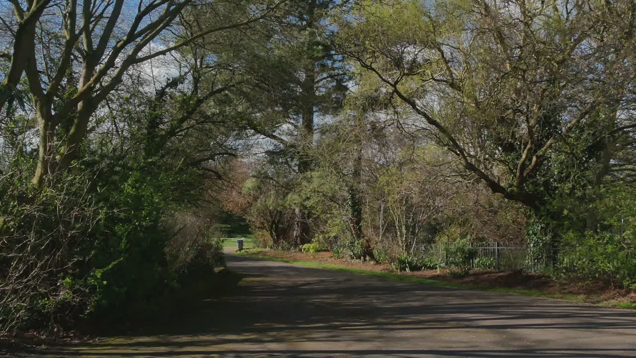 Empty City Park On A Sunny Day