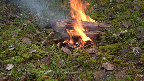 time lapse video of small campfire burning while more wood added to the fire