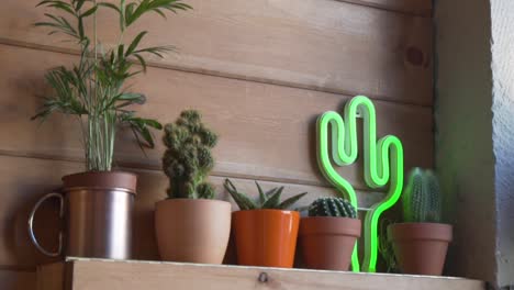 flowerpot of cactus and indoor plant display on wooden shelf inside cafeteria