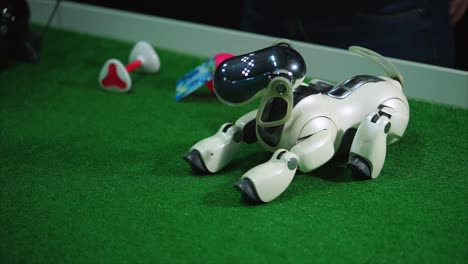 Sony Aibo Robot Dog