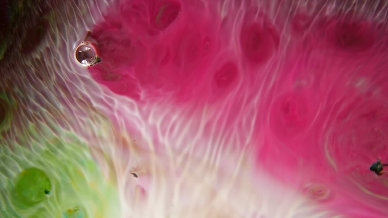 Mixing colors of paints, abstract background of morphing shapes. Amazing moving images created by spinning dyes.
