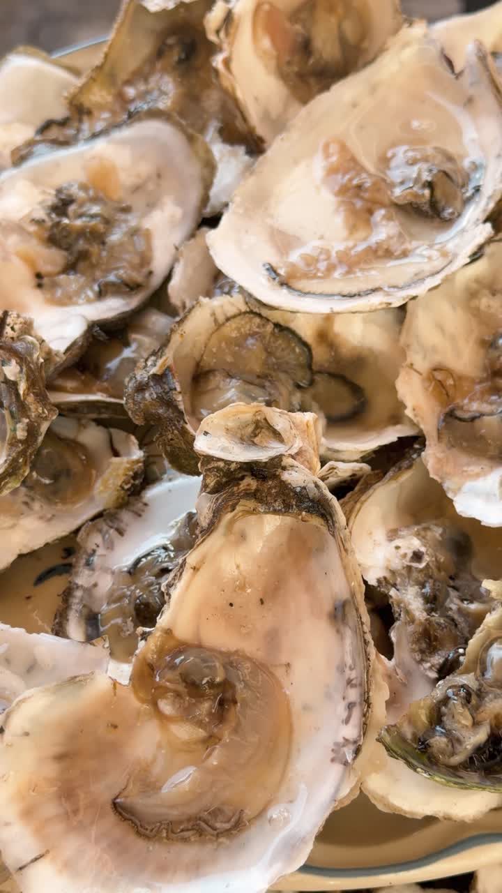 Closeup of freshly shucked oysters on plate, showcasing raw seafood texture and freshness