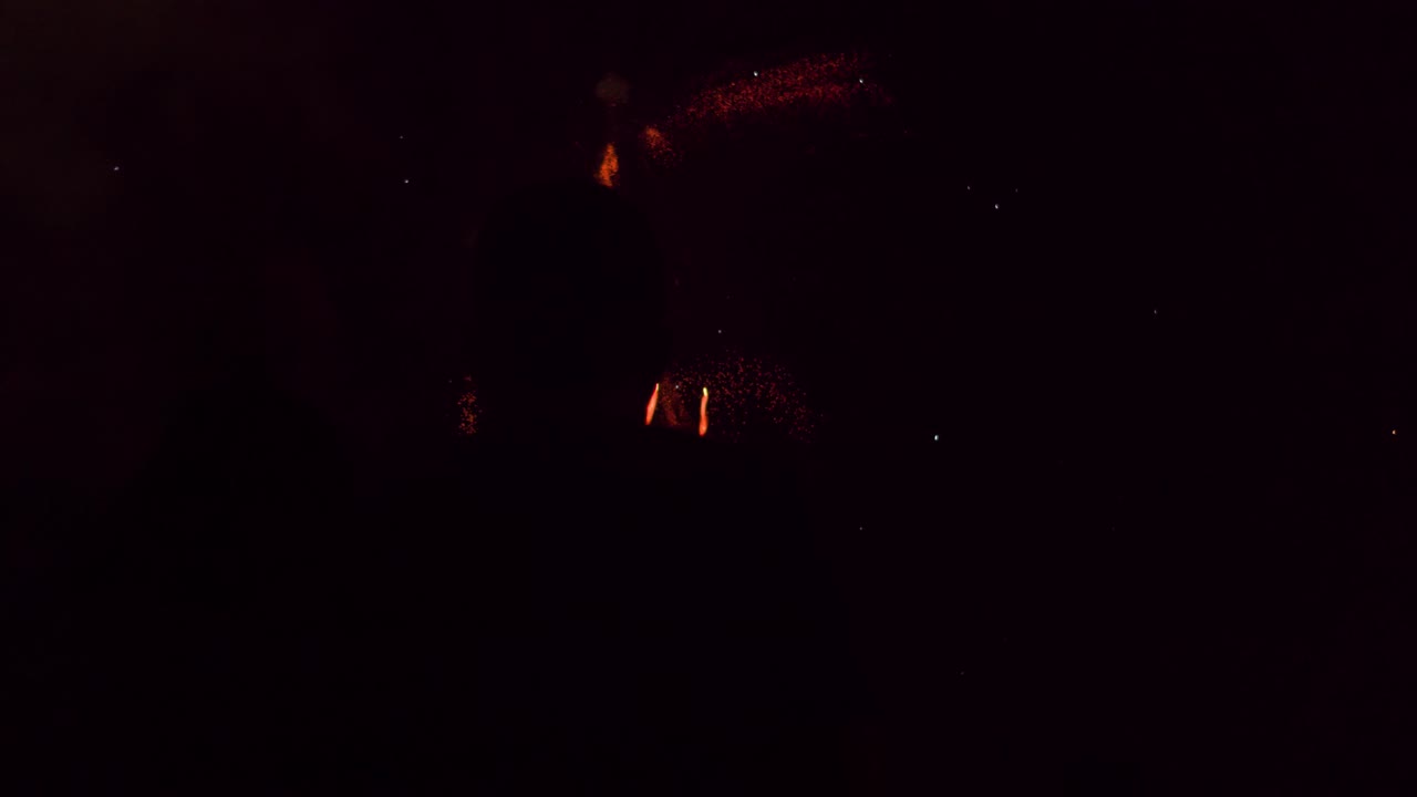 люди смотрят фейерверки ночью.