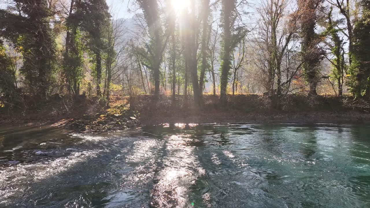 은 날 숲을 가로질러 흐르는 강