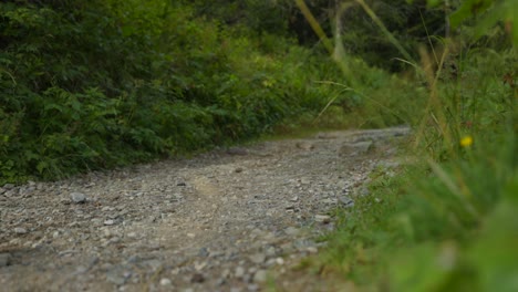 unrecognizable woman hiker on trails over mountain hikes