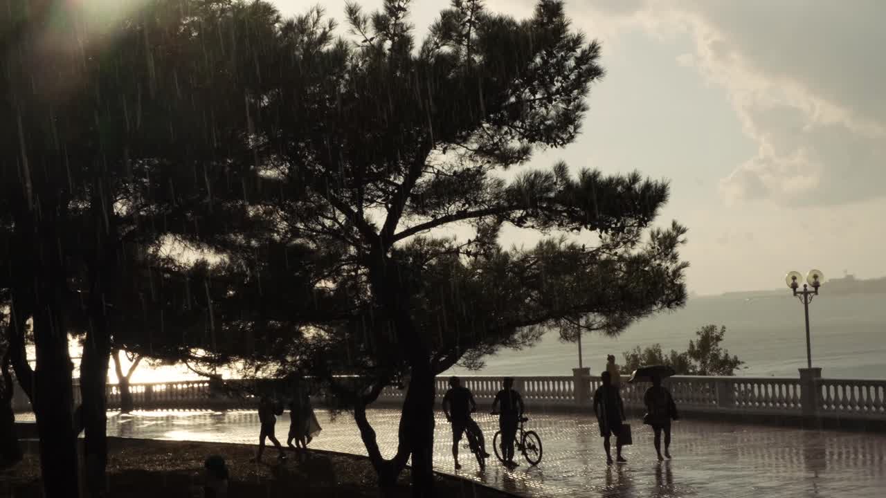 해변 공원에서 비가 오는 해가 지는 산책