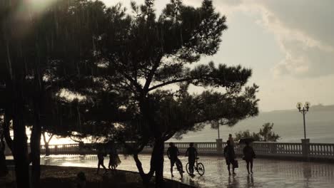 rainy sunset stroll at the seaside park