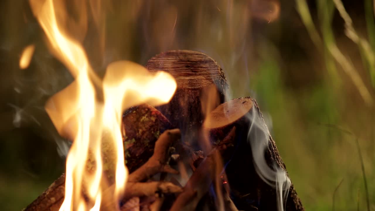 자연 속에서 야외 캠핑을 하기 위해 성냥개비로 나무 통나무에 불을 붙이는 신원 불명의 손 클로즈업