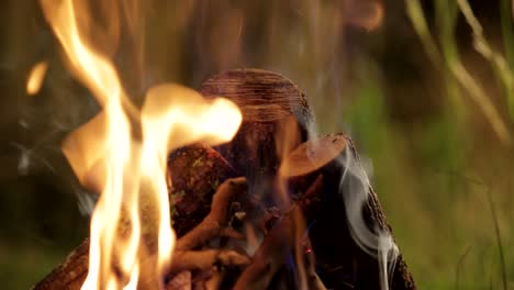 Close-up-of-uindentified-hand-igniting-logs-of-wood-with-matchstick-for-outdoor-camping-in-lap-of-nature