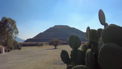 vista cautivadora de un imponente cactus en primer plano y la icónica pirámide del sol, teotihuacán al fondo.