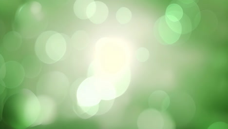 green bokeh lights moving over blurred background