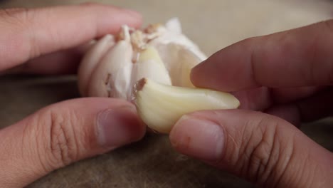 hand removing a single clove of garlic from a garlic bulb.