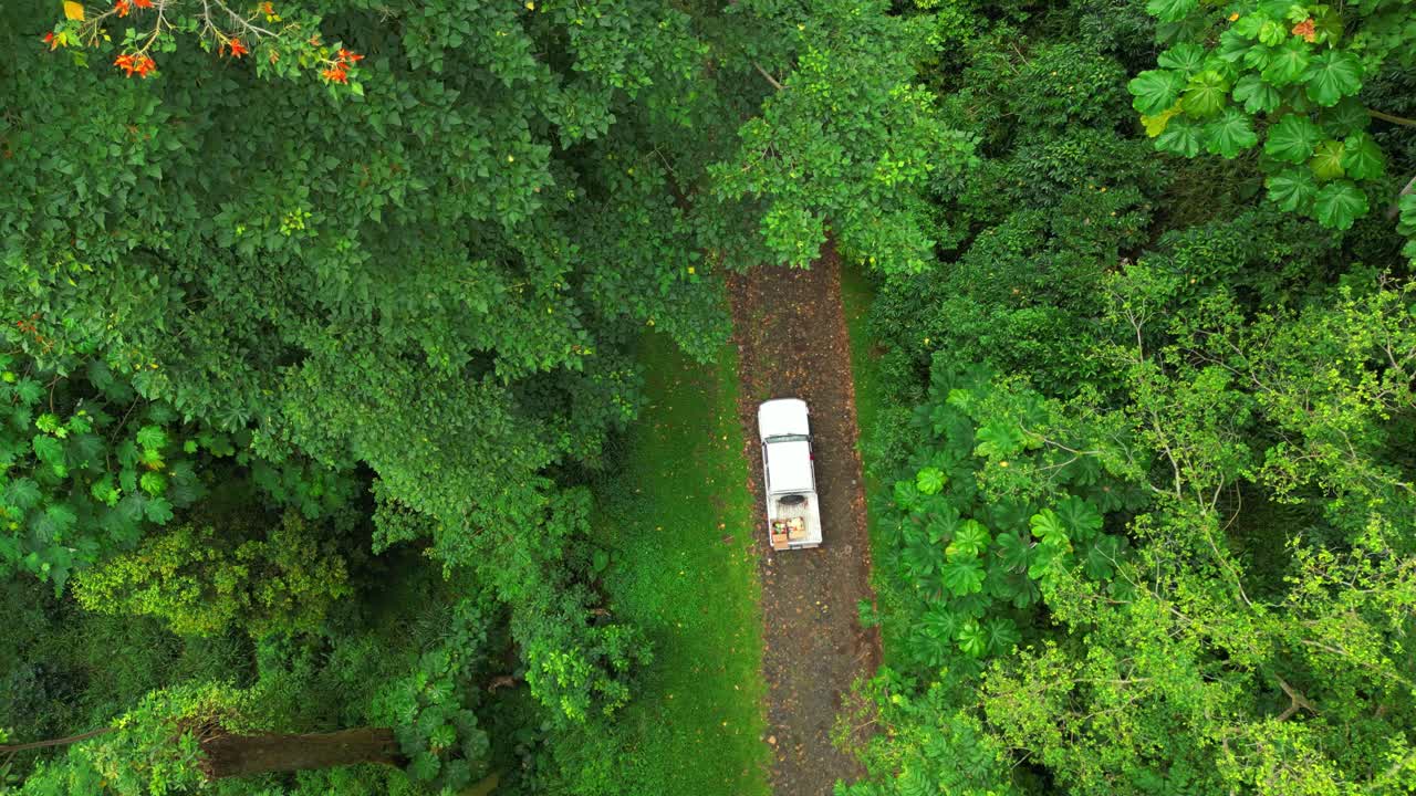 Aerial rising view from a car in the green forest of Sao Tome e Principe,AFrica