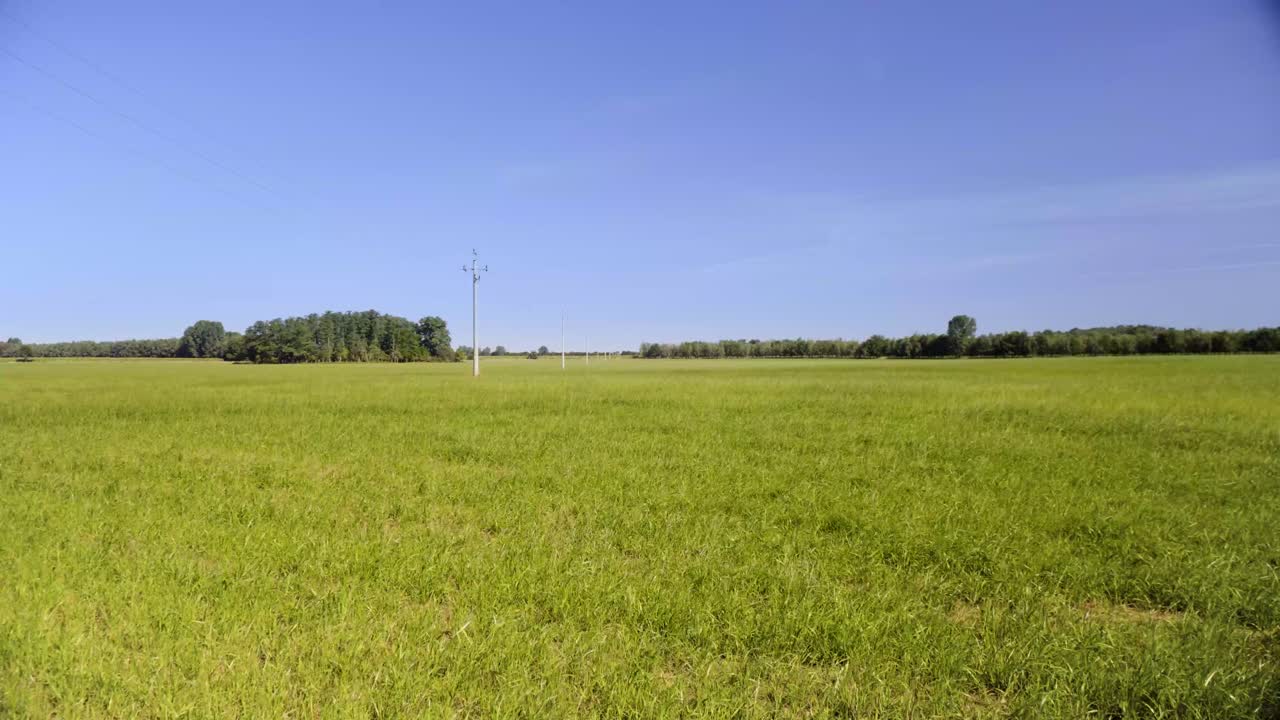 campo verde durante el día soleado de verano con cielo azul y poste de energía en 4k-1