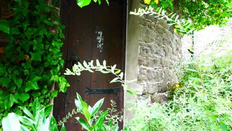 heavy old wooden medieval door entrance rustic ornate metal decoration covered ivy foliage