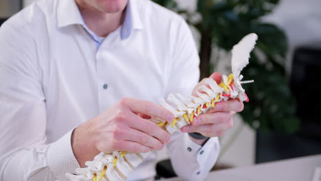 el quiropráctico explica al paciente acerca de las vértebras cervicales en una columna vertebral artificial