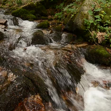 Ein-Schöner-Wasserfall-Fließt-Durch-Eine-Waldregion