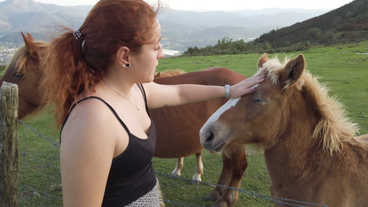 Woman petting horses in a field