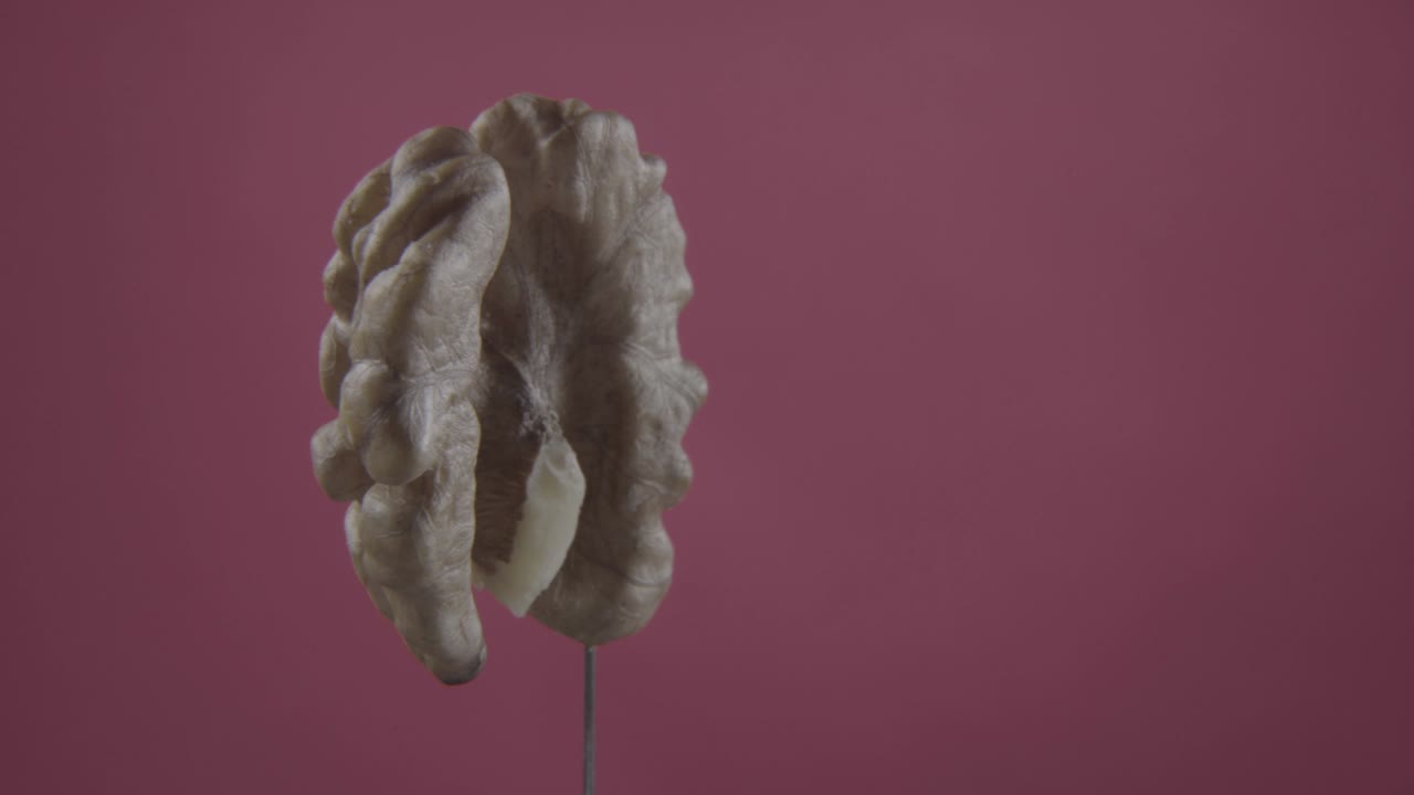 nuez girando con bucle en la pantalla de fucsia para la llave de croma