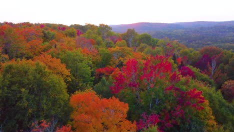 aerial view of vibrant autumn foliage