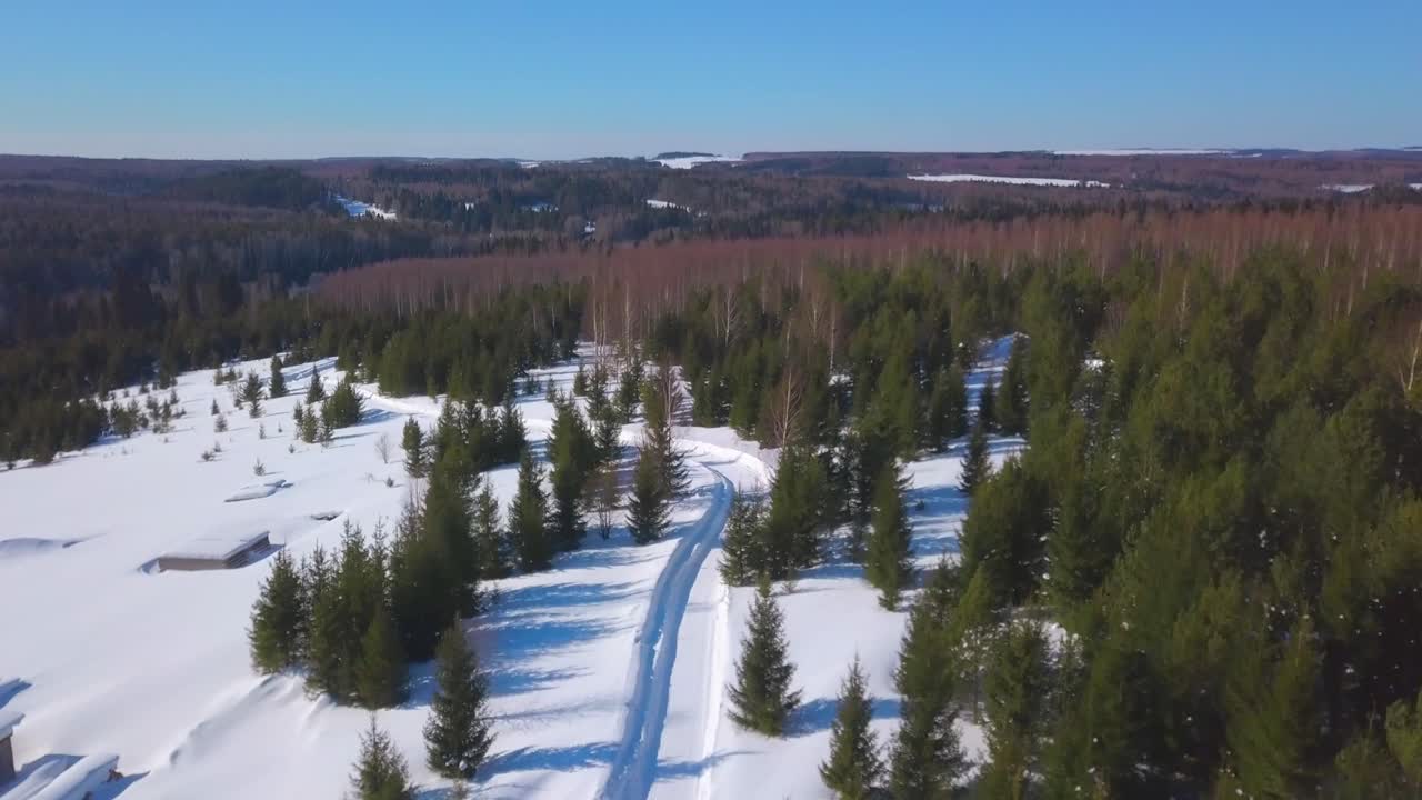 Paesaggio boschivo innevato con una strada tortuosa
